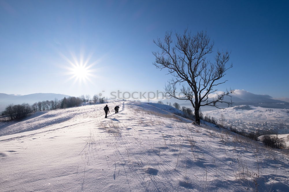 Similar – Image, Stock Photo snowshoe hike Athletic