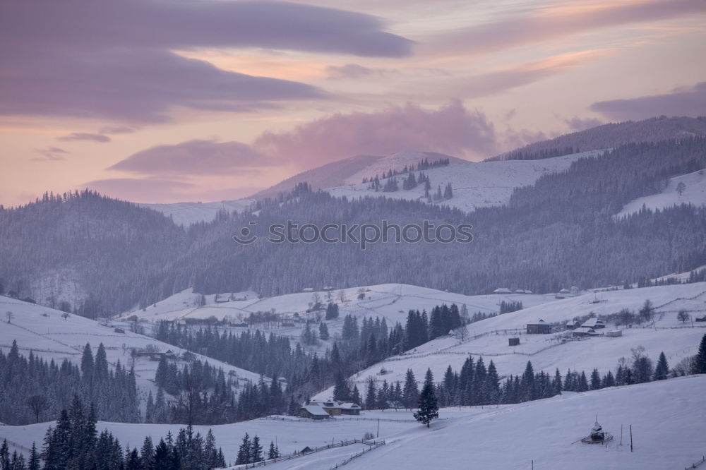 Similar – Image, Stock Photo Pink icing sugar