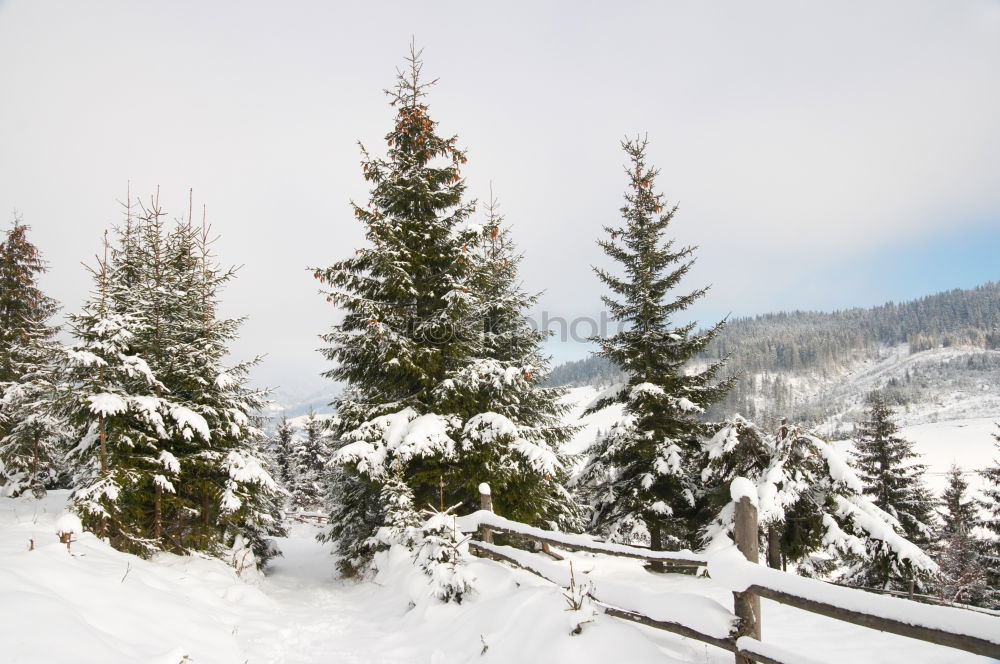 Similar – Image, Stock Photo real winter Loneliness