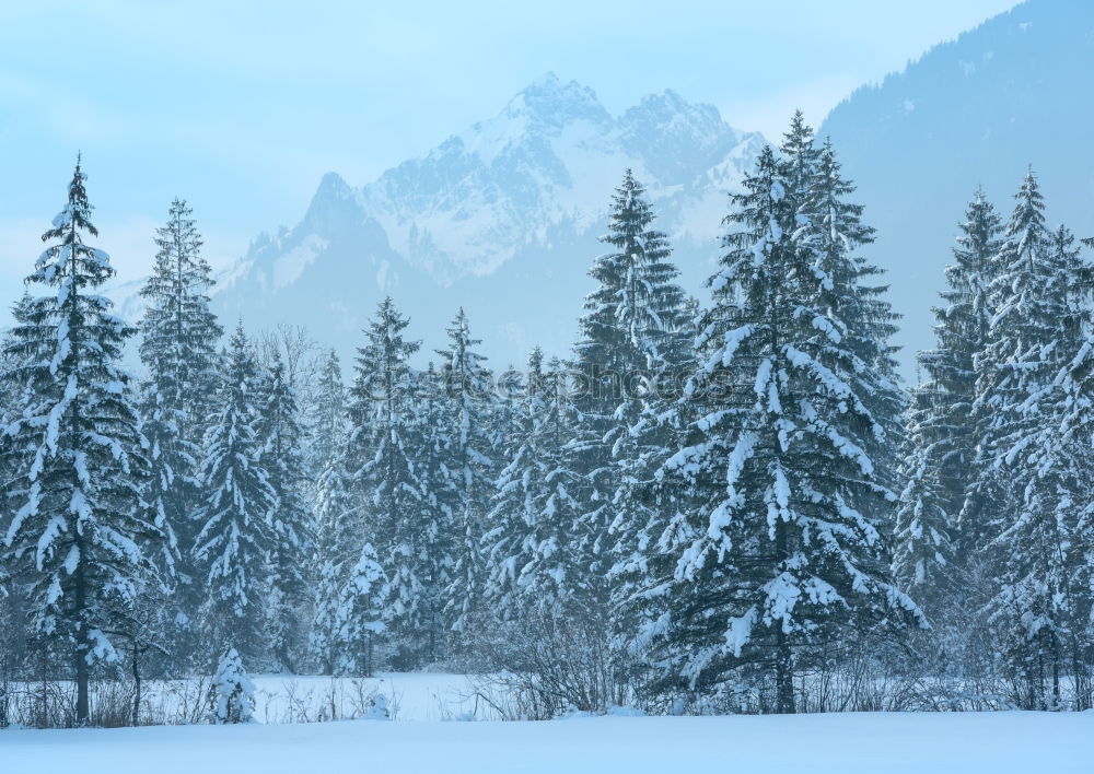 Similar – Image, Stock Photo Sunset on the mountain ridge