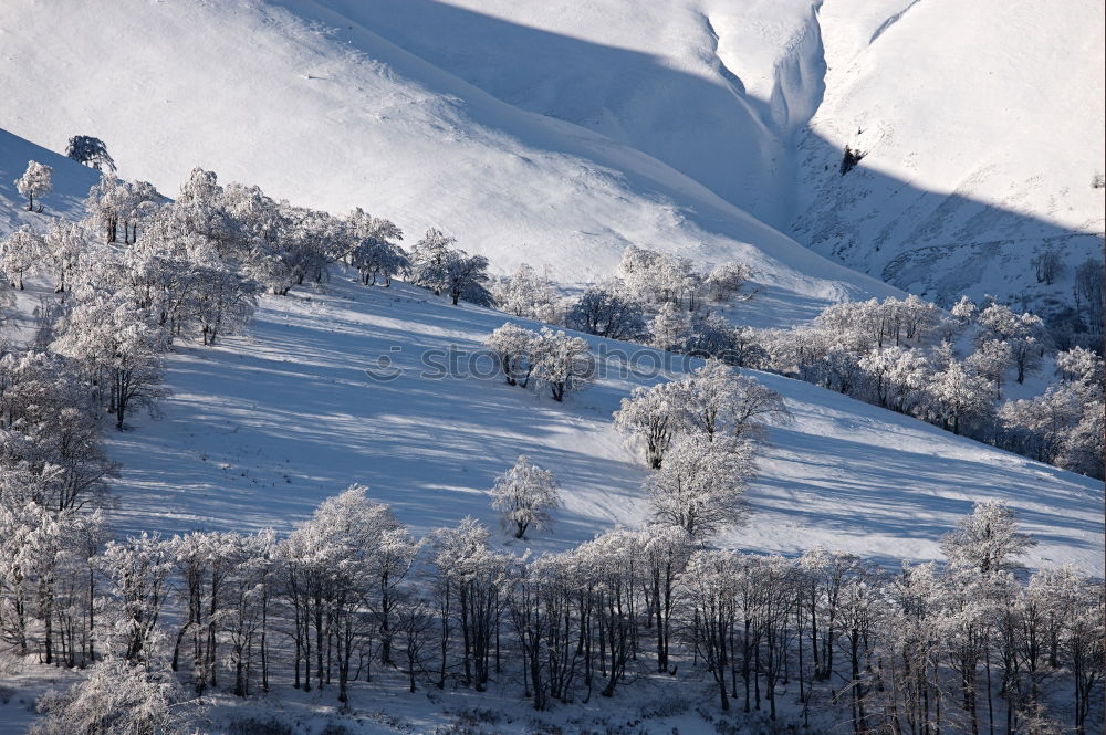 Similar – fake Nature Landscape