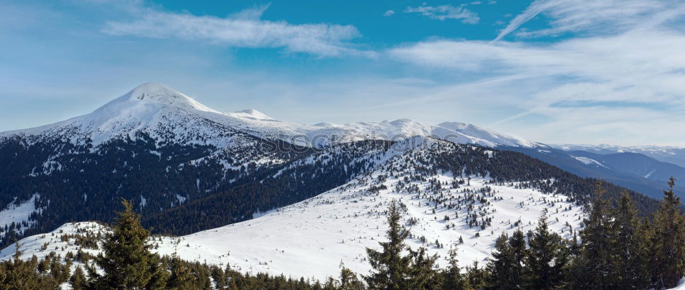Similar – Image, Stock Photo Snow-capped mountains and fir forests