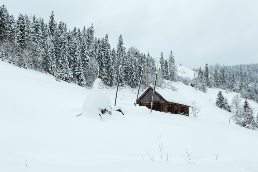 Similar – Image, Stock Photo real winter Loneliness