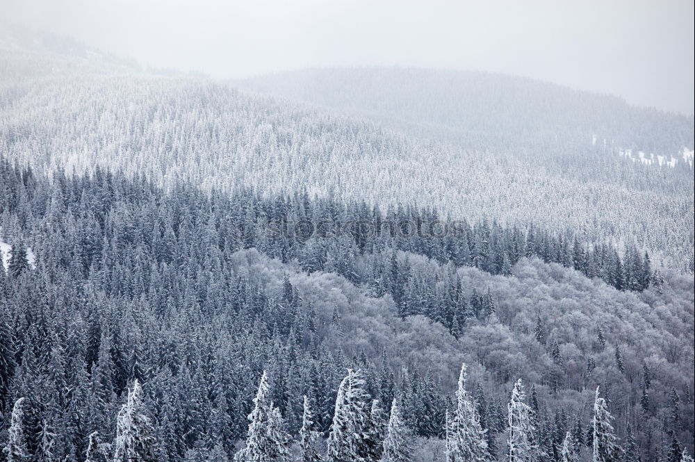 Similar – Extreme avalanche danger