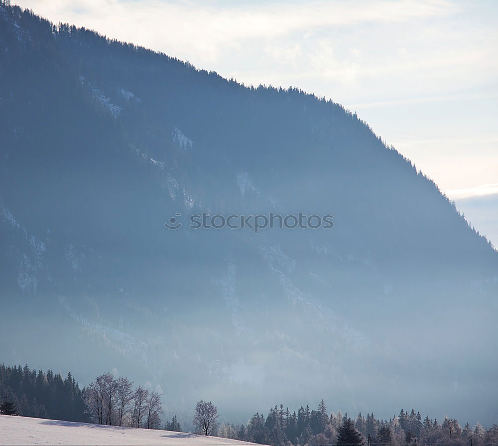Similar – Image, Stock Photo Beautiful Black Forest