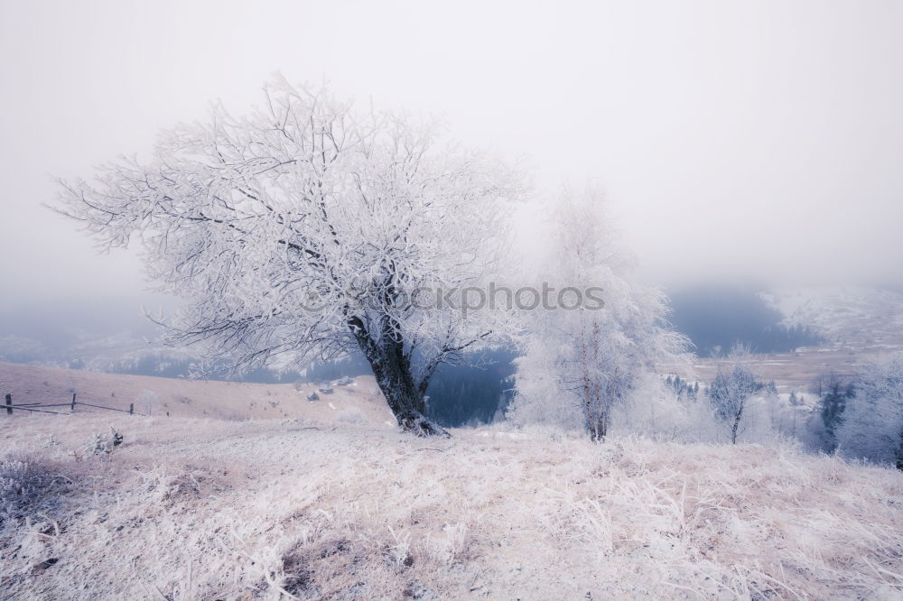 Image, Stock Photo hut magic Landscape Sky