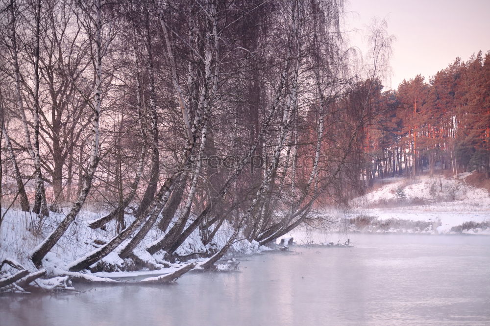 Similar – Foto Bild Winterzauber Landschaft