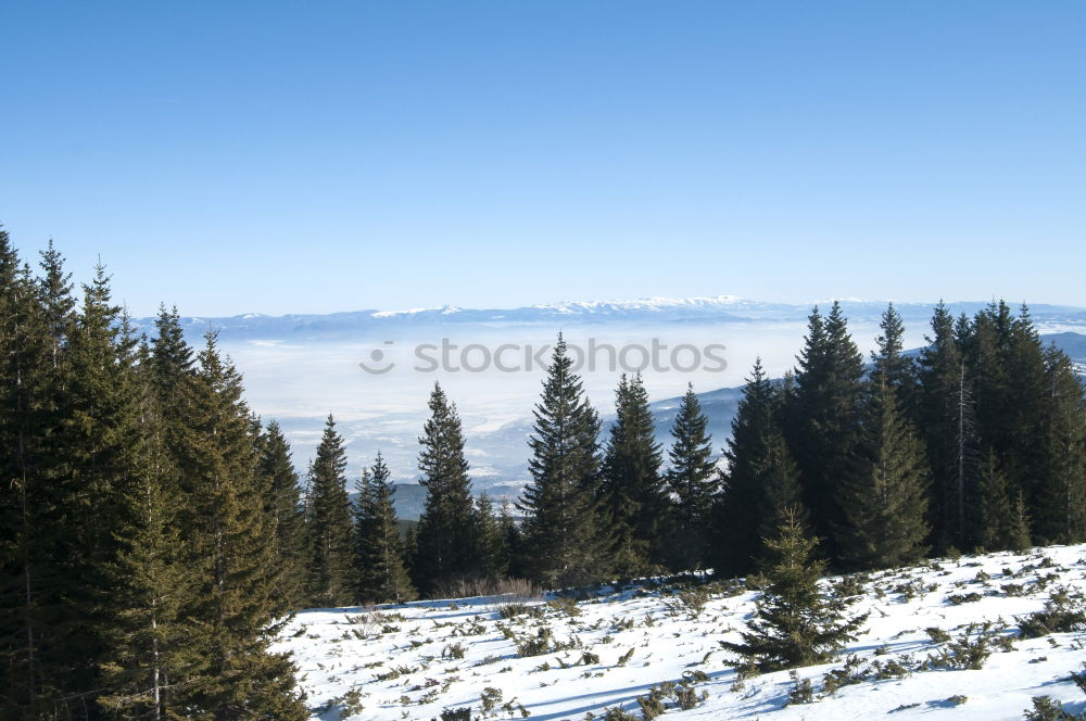 Similar – Image, Stock Photo winter hike in the northern Black Forest on a sunny day