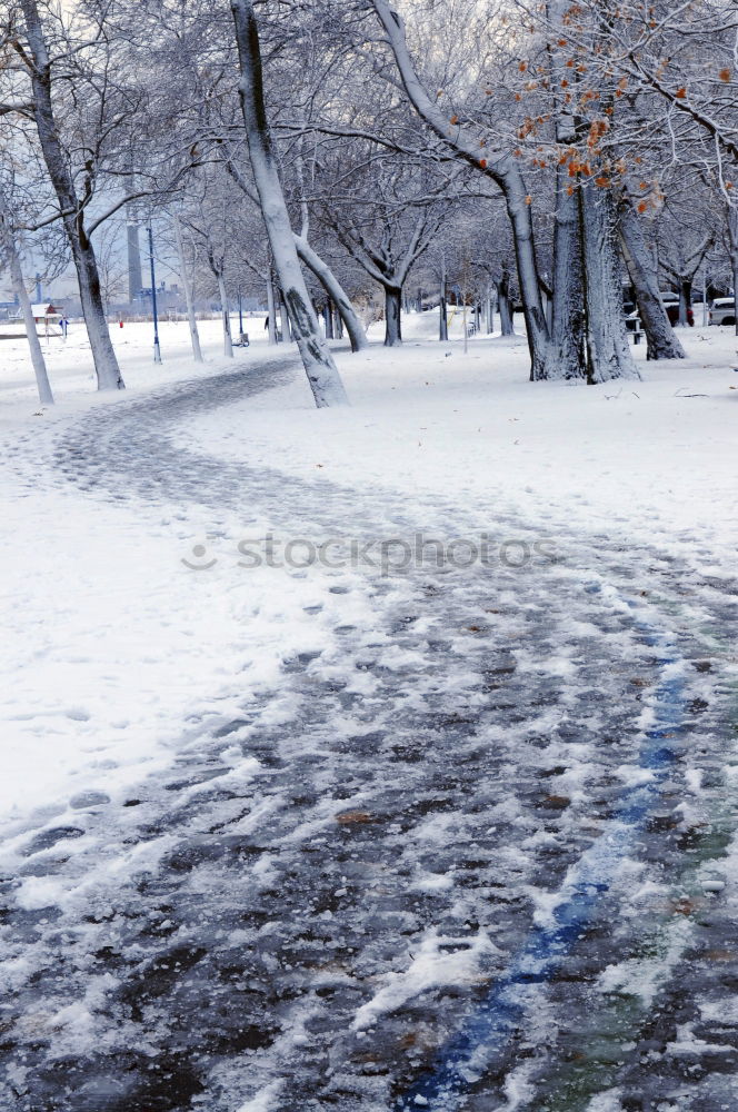 Similar – Image, Stock Photo winter sun. Trip Winter