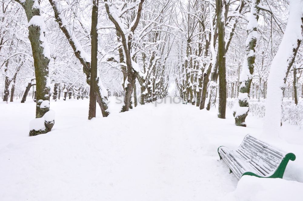 Similar – Mother and her daughter are spending time in winter