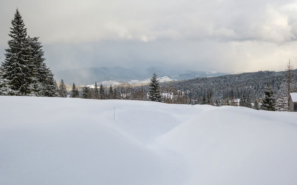 Image, Stock Photo Cottage in the snow