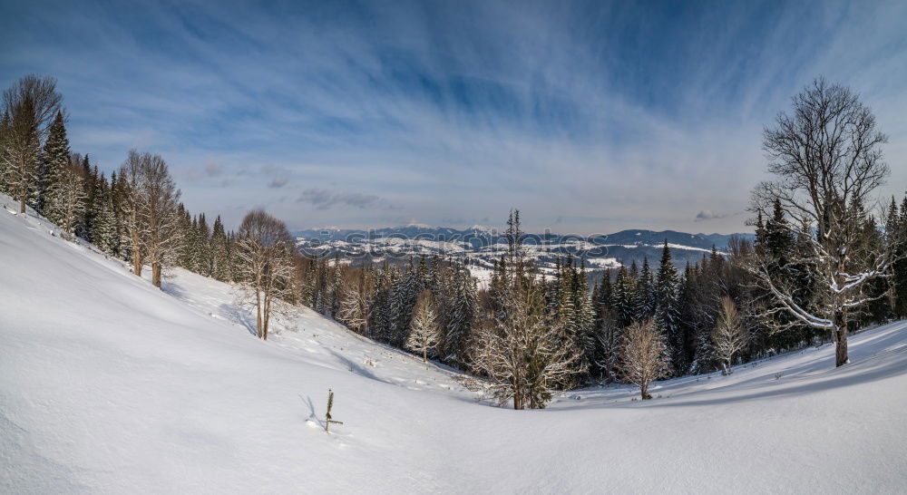 Similar – ….Richtung Frühling….?