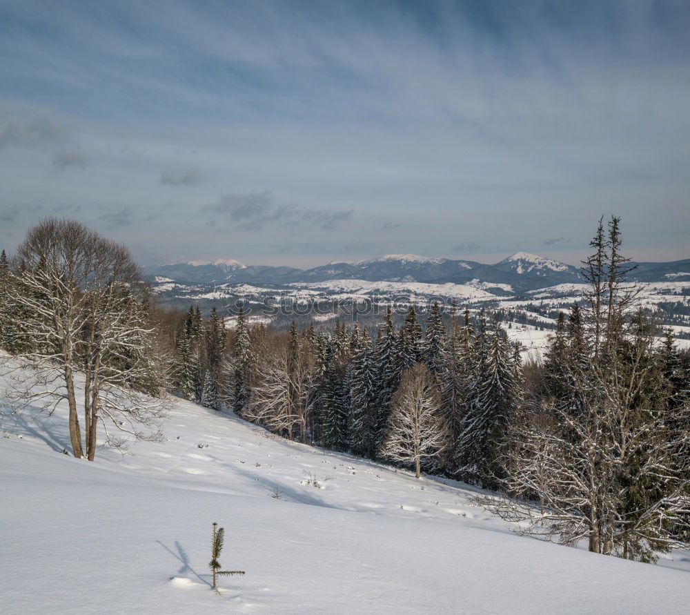 Image, Stock Photo On the piste Mountain