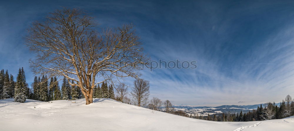 Similar – Image, Stock Photo hut Winter Massive Calm