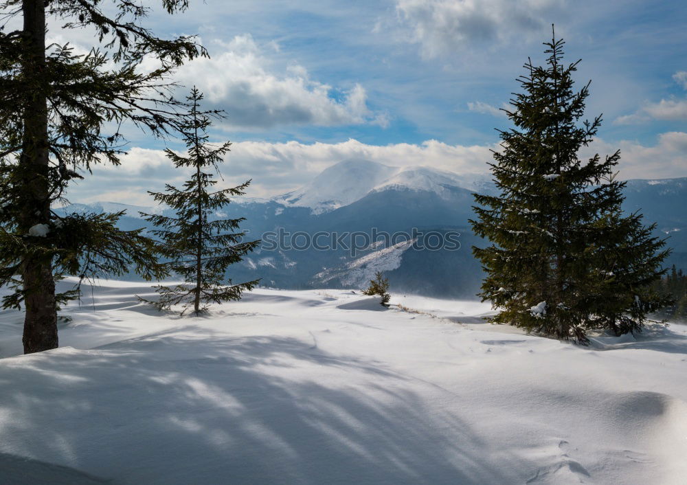 Similar – Bergab See Skipiste Baum