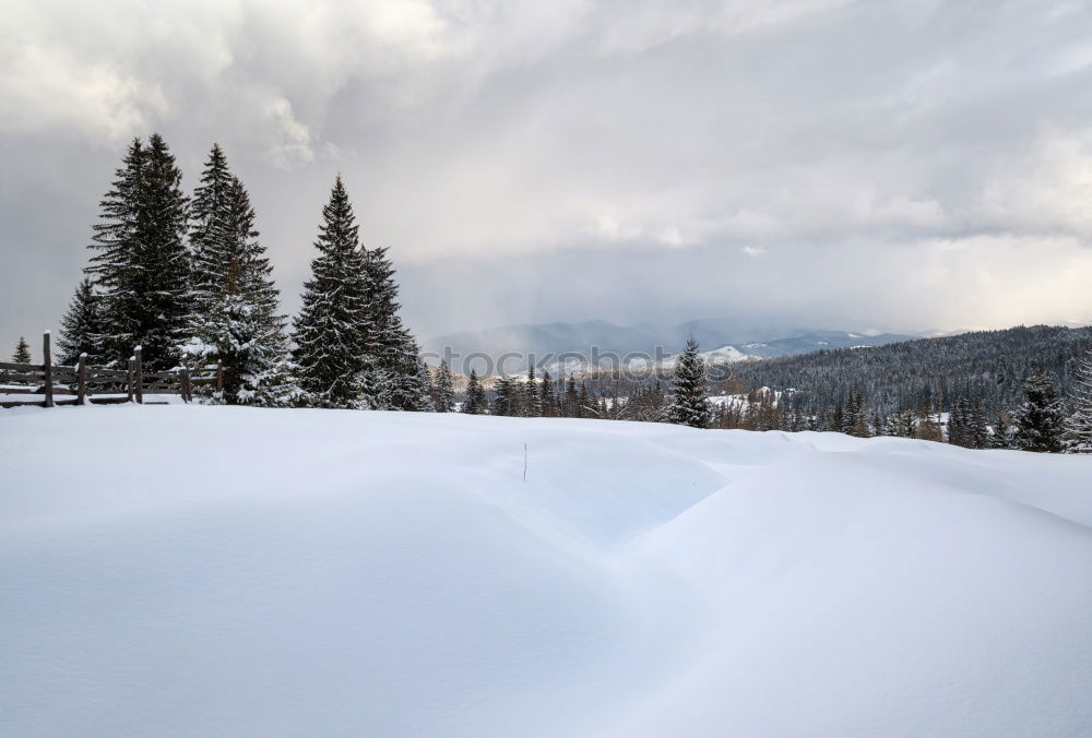 Similar – Image, Stock Photo Cottage in the snow