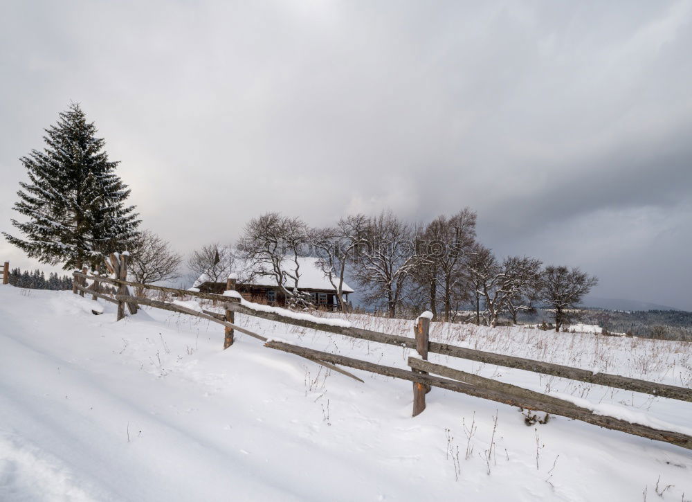 Similar – snow falling on meadows