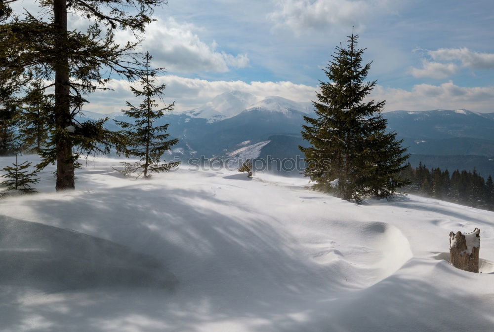 Similar – ….Richtung Frühling….?