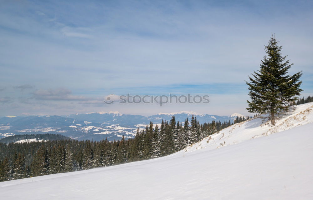 Similar – Foto Bild Spuren im Schnee II