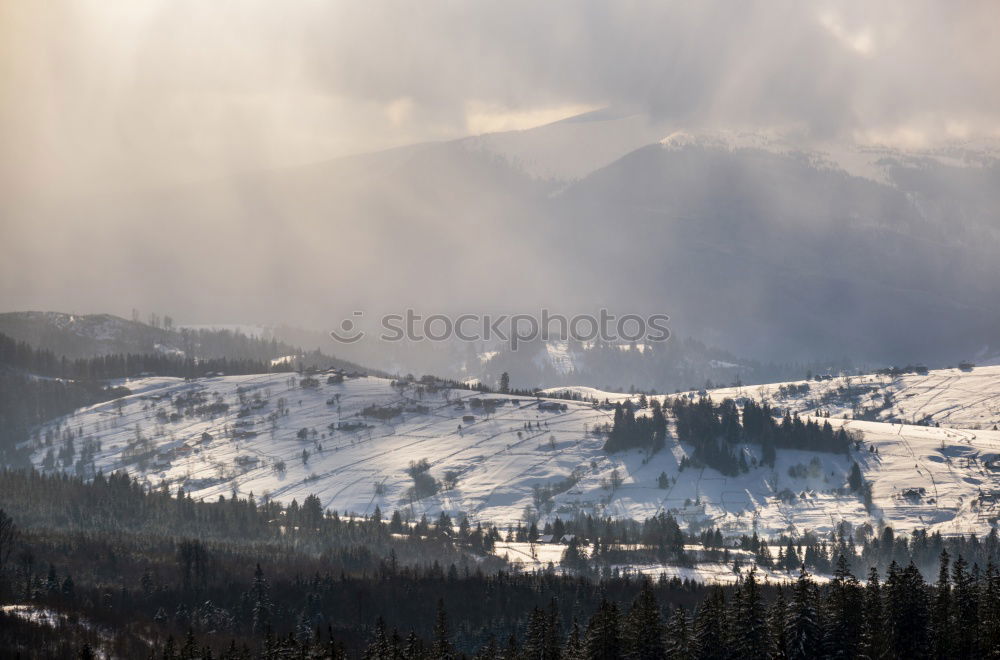 Similar – Image, Stock Photo winter hike in the northern Black Forest on a sunny day