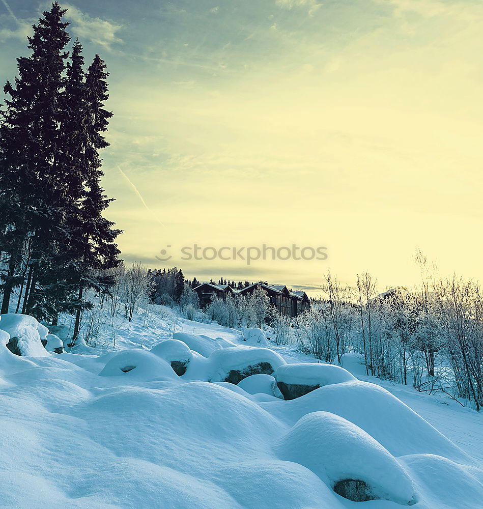 Similar – Image, Stock Photo Evening sun in the winter landscape