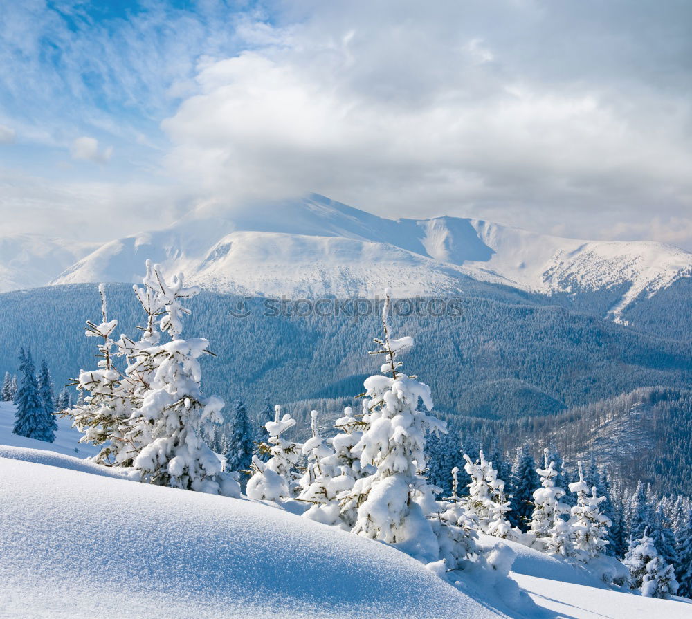 Similar – Christmas Snow Landscape with trees and sunflare, stryn, Norway