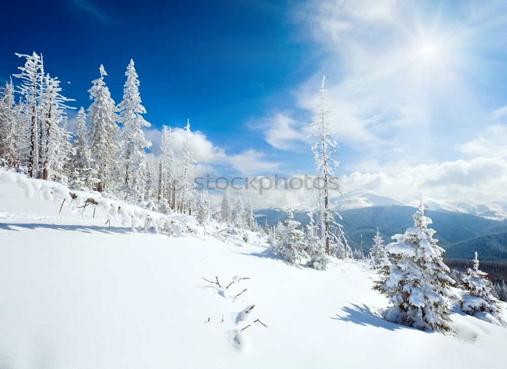 Similar – Image, Stock Photo Dream in white and blue