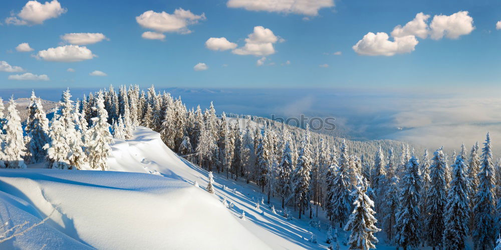 Similar – Image, Stock Photo winter hike in the northern Black Forest on a sunny day