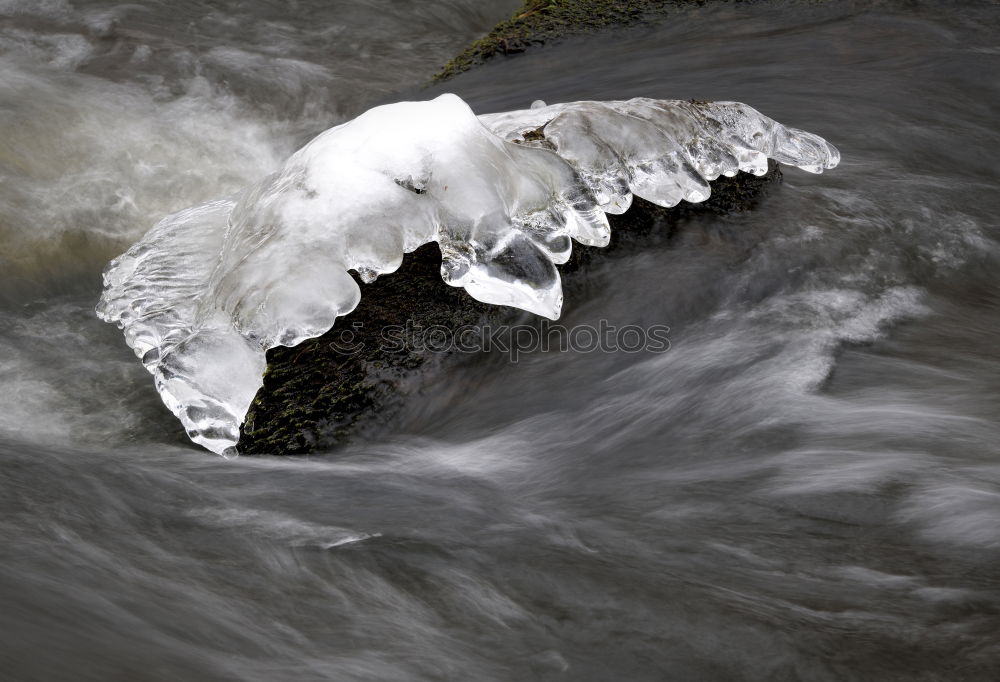 Similar – Image, Stock Photo icily Environment Nature