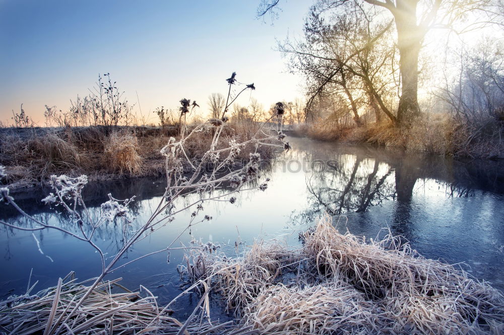 Similar – Image, Stock Photo View over the Warnow to Rostock in winter