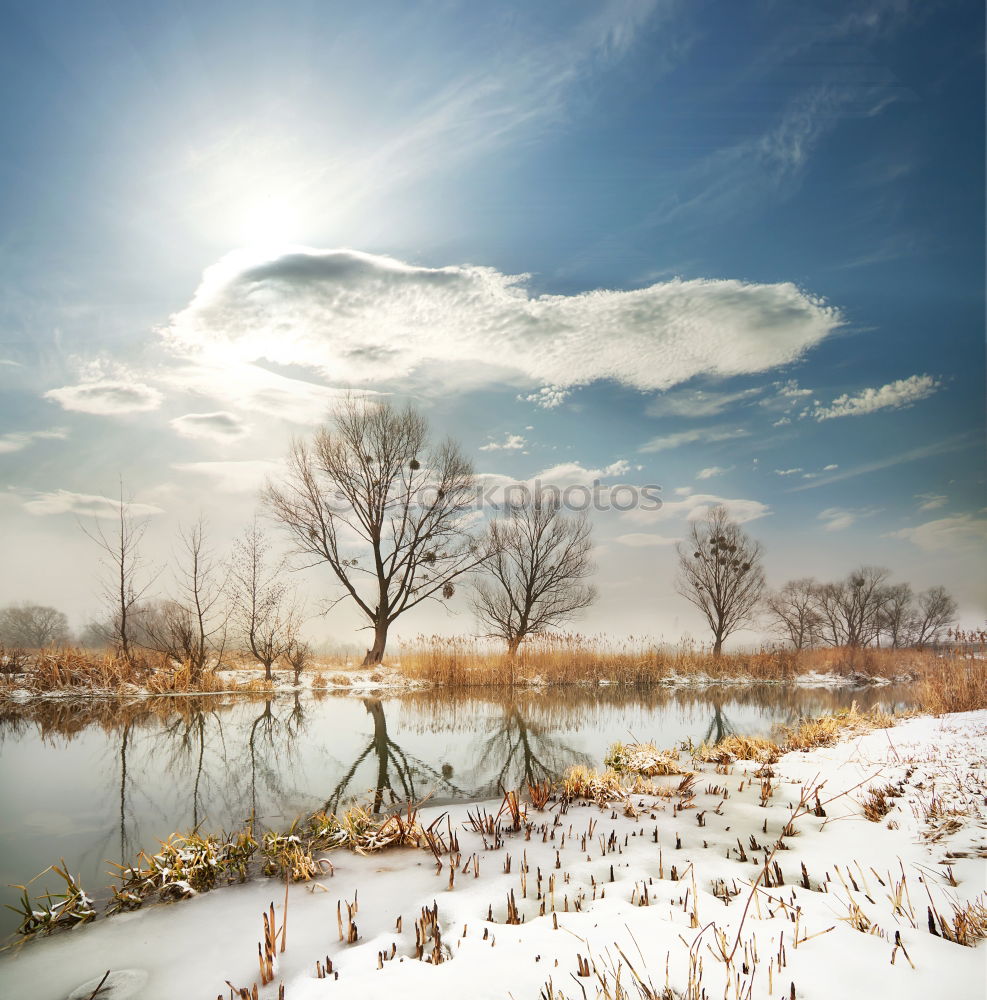 Similar – Image, Stock Photo Winter landscape on Havel River (Germany). Havelland