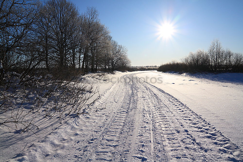 Similar – Image, Stock Photo Winter Hike Ice Frost