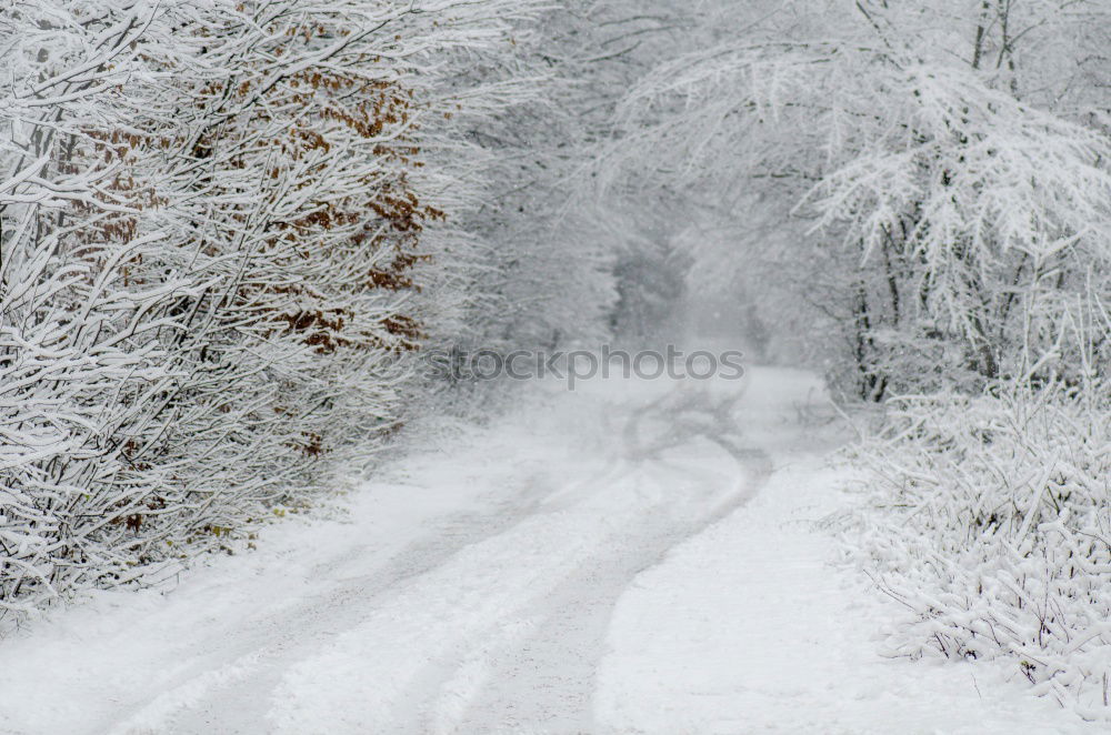 Similar – Snowy rural road at winter