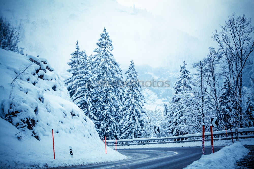 Similar – Image, Stock Photo off to the cool Winter