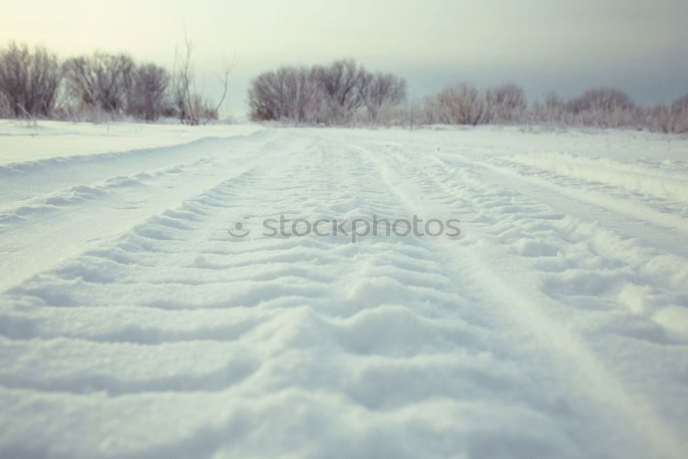 Similar – Image, Stock Photo winter Winter Climate