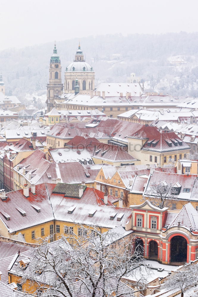 Christmas Market in Dresden