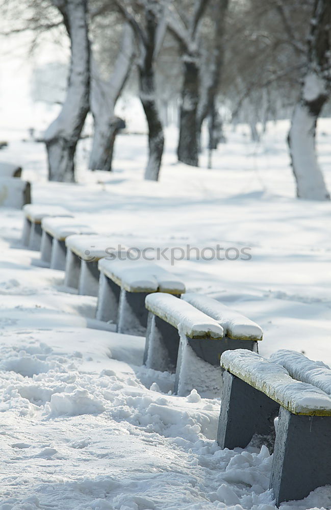 Similar – Image, Stock Photo winter sun. Trip Winter