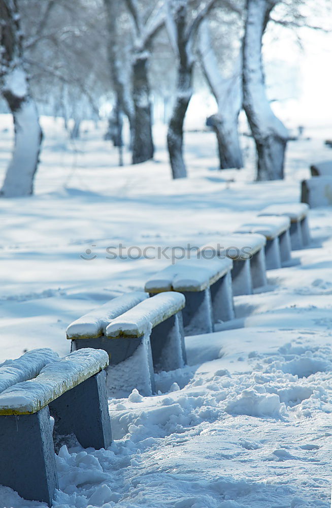 Similar – Image, Stock Photo shadow production plant