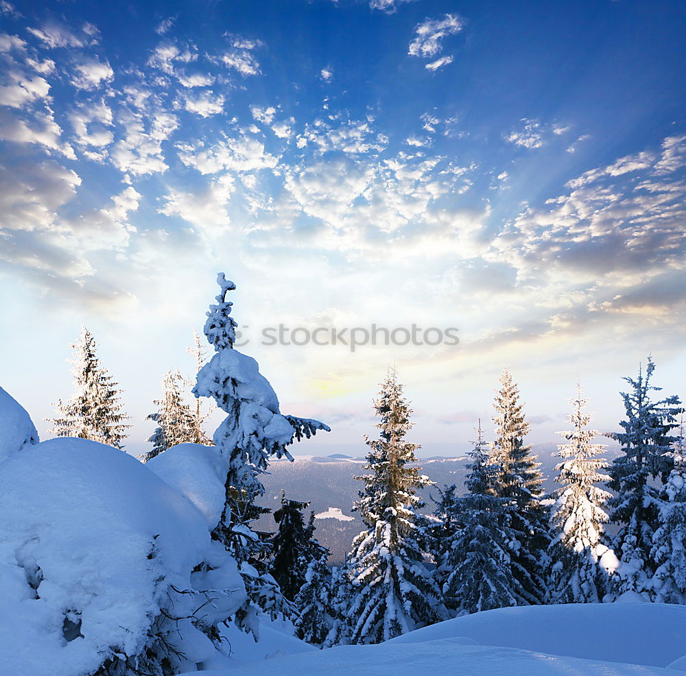 Similar – Schnee mit Sonne II.