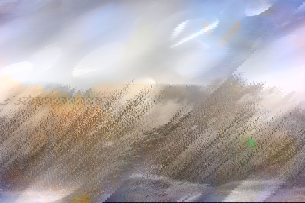 Similar – Image, Stock Photo Sun and fog Environment