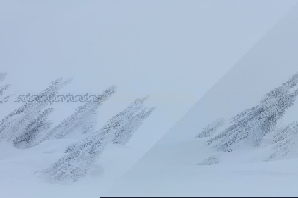 Similar – Foto Bild Nachts im Schnee #02