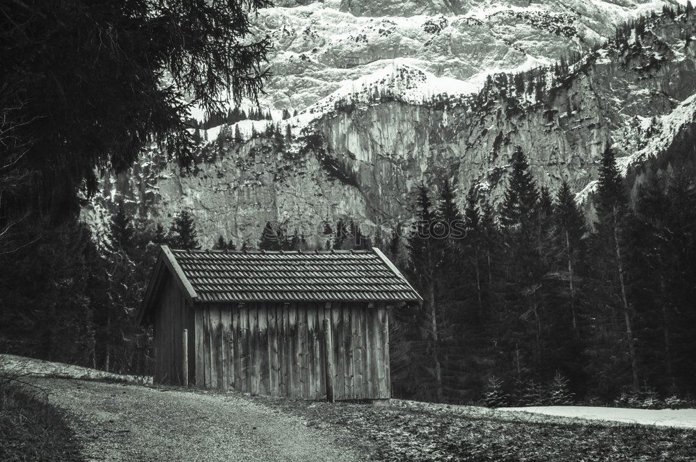 Similar – Image, Stock Photo corrugated-iron hut