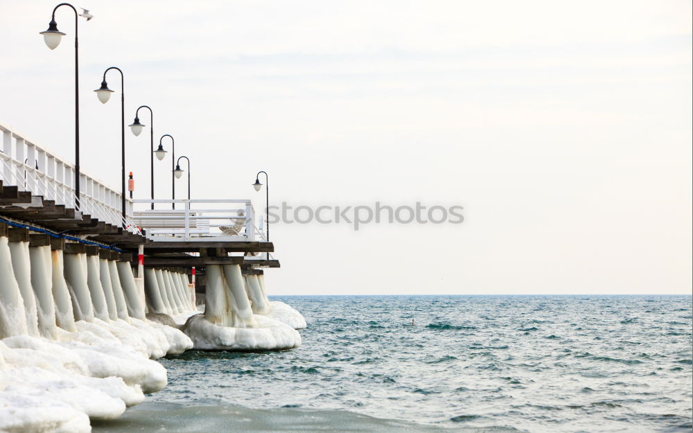 Similar – Seagulls circle over groynes at the Baltic Sea beach