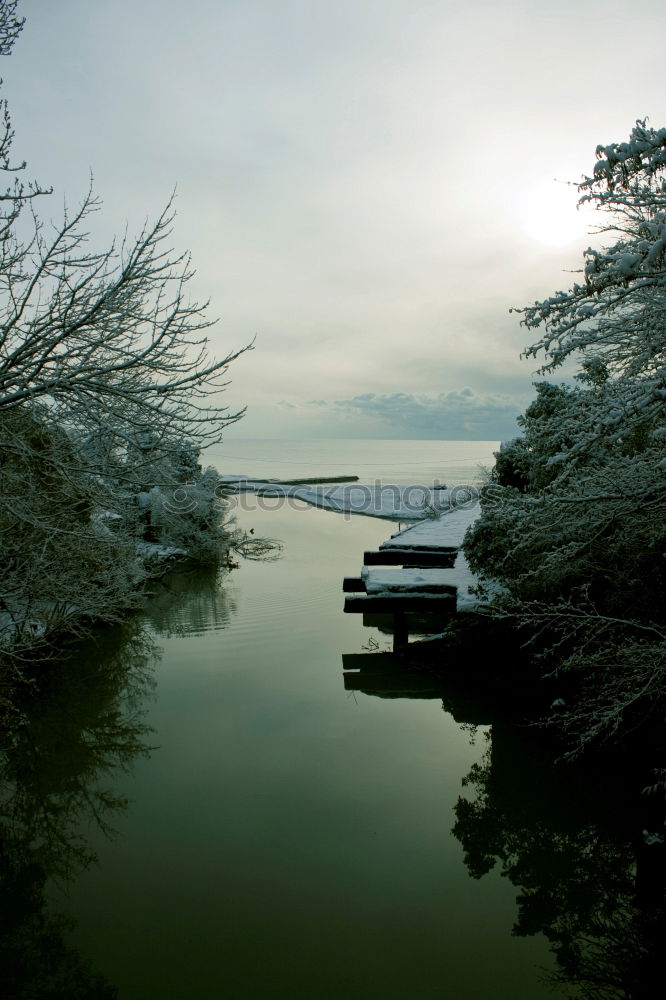 Similar – Image, Stock Photo the tree Tree Lake Green