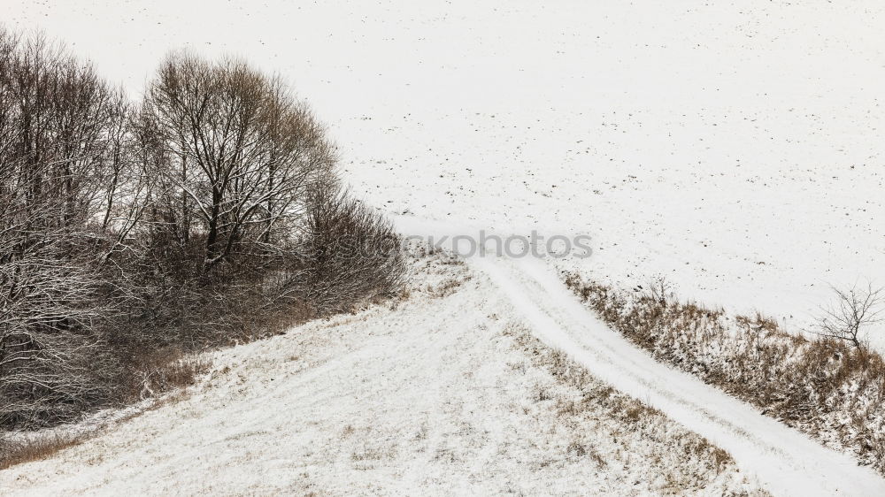 lanes I Winter White Gray