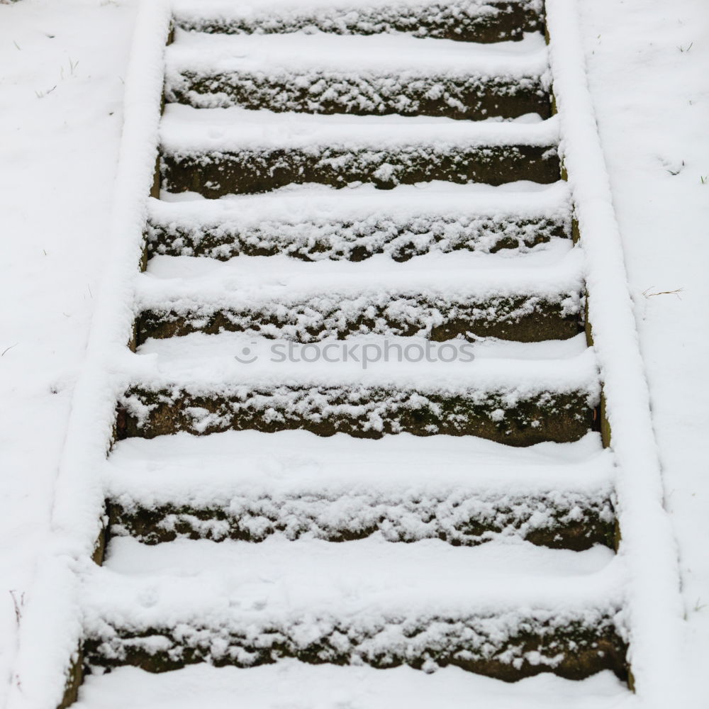 Similar – Foto Bild Schwarzgelbe Geschäftsgrundlage