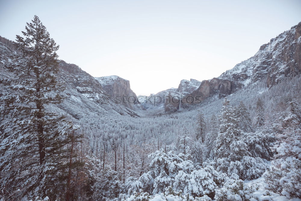 Similar – Image, Stock Photo Winter magic in Bohemian Switzerland