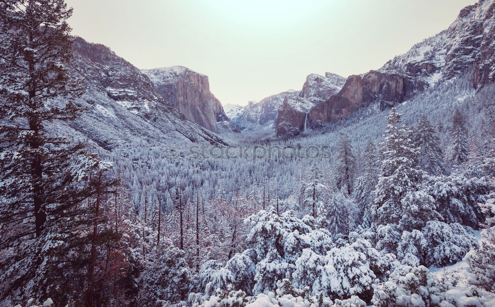 Similar – Image, Stock Photo Winter magic in Bohemian Switzerland