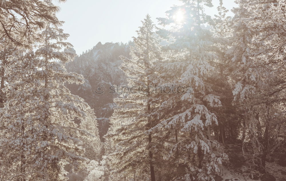 Similar – Image, Stock Photo Winter wonderland Mountain