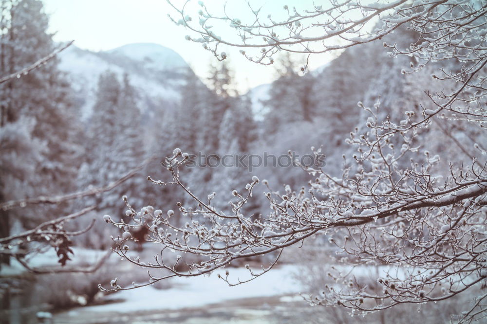 Similar – Image, Stock Photo winter Environment Winter